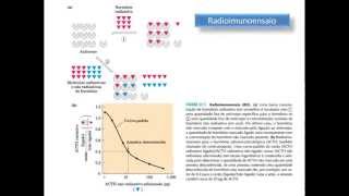 Bioquímica Clínica Avaliação laboratorial da função endócrina [upl. by Bora]