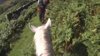 A day with Grange Trekking centre Abergavenny Wales [upl. by Alat]