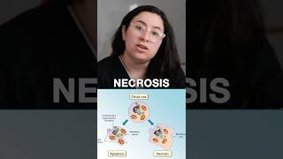 APOPTOSIS vs NECROSIS ubaxxi uba biologia cbc ubaxxi [upl. by Newlin893]