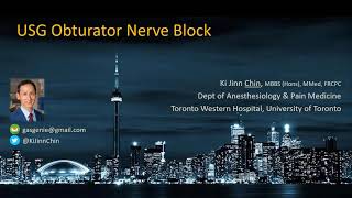 USG Obturator Nerve Block [upl. by Acinat877]