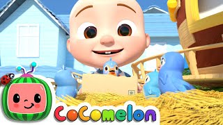 ITSY BITSY SPIDER  CoComelon Nursery Rhymes [upl. by Beryle]