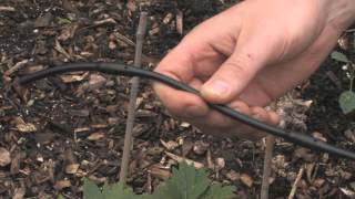 Drip Irrigation Basics [upl. by Atiuqehs]