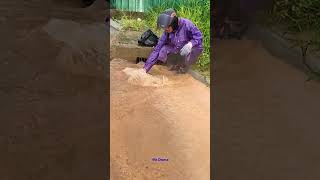 Flooded drain on street by unclogging drain satisfying cloggeddrain shorts [upl. by Oniger213]