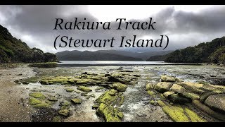 Rakiura Track Stewart Island [upl. by Assertal]