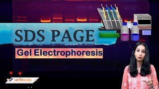 SDS PAGE I Polyacrylamide Gel Electrophoresis I Technique Complete Detail [upl. by Gessner618]