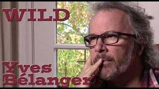 DP30 Wild cinematographer Yves Bélanger [upl. by Shirlie361]