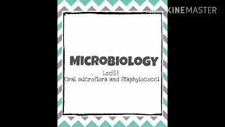 Spring 2018  Lecture 1  Microbiology 2  Oral microflora amp staphylococci [upl. by Pike]