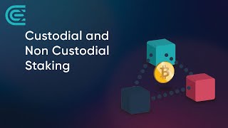 Custodial and NonCustodial Crypto Staking Explained [upl. by Auqenat]