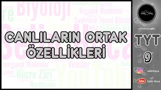 1 Canlıların Ortak Özellikleri [upl. by Annice]