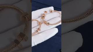 Cartier Ecrou De Cartier 18K Rose Gold Earrings B8301408 [upl. by Aicala]