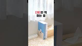 아무도 멀티탭 정리함인지 몰라요 🤫 Shorts [upl. by Seafowl]