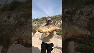 Adelanto de carpones en Río Salado 280924 [upl. by Sylram]