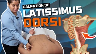 Muscle Palpation  Latissimus Dorsi  Physioneeds Academy [upl. by Ahsinid]