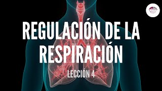 4 REGULACIÓN DE LA RESPIRACIÓN FISIOLOGÍA DEL SISTEMA RESPIRATORIO [upl. by Arihsan]