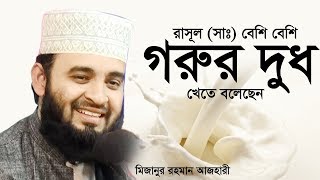 রাসূল সা কেন গরুর দুধ বেশি বেশি খেতে বলেছেন।Mizanur Rahman Azhari [upl. by Esydnac47]