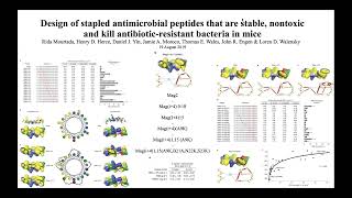 3 Minute Paper Stapled Peptide to Kill AntibioticResistant Bacteria [upl. by Eidolem]