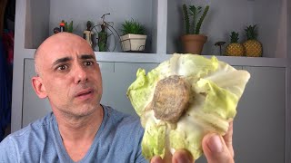 4 alimentos que não fazem bem à tireóide  Dr Dayan Siebra [upl. by Yenar558]