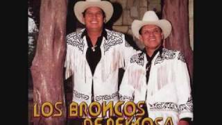 LOS BRONCOS DE REYNOSA EL ZORRO MEXICANO [upl. by Araj400]