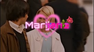 Aiman Menebhi  MARIJANE  officiel lyrics vidéo [upl. by Hachman372]