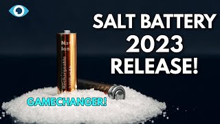 No More Lithium NEW SodiumIon Battery To BEGIN Mass Production [upl. by Shepard]