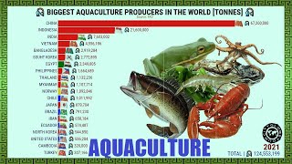 BIGGEST AQUACULTURE PRODUCERS IN THE WORLD [upl. by Tahpos]