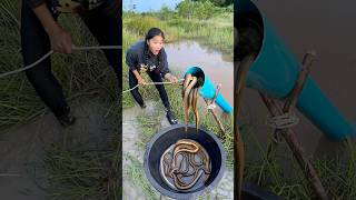 Survival Skills Build Simple and Useful Fish Tapping Systems survival useful shorts outdoors [upl. by Boser420]