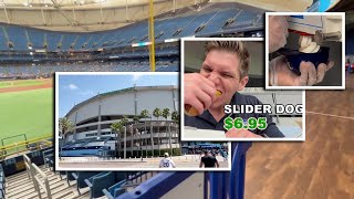 Spring Training reviews Tropicana Field amp the Tampa Bay Rays [upl. by Talbott]