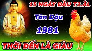 TIÊN TRI TIẾT LỘ SỰ THẬT 15 NGÀY ĐẦU THÁNG 3 ÂM  TÂN DẬU 1981 DẤU HIỆU PHÁT TÀI  THỜI ĐẾN TIỀN VỀ [upl. by Ennylyak318]