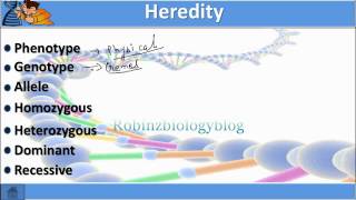 Heredity and Evolution Class 10  science biology [upl. by Waylen]