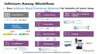 Illumina Infinium Methylation Analysis and Reporting Review [upl. by Anthony]