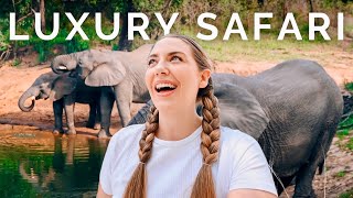 4 WILD days on SAFARI in South Africa 🇿🇦Allinclusive luxury [upl. by Alamap928]