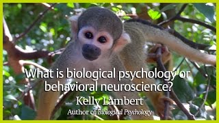 What is biological psychology or behavioral neuroscience [upl. by Ytissahc]