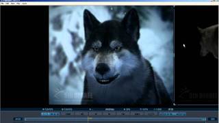 PDPLAYER  7 Masks Exporting Movies video tutorial  Chris Nichols [upl. by Elicec996]