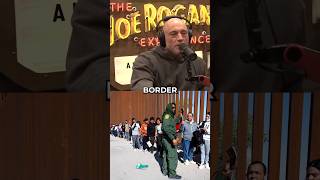 Tim Dillon on Illegal labor and Economic Migration  Joe Rogan reacts shorts joerogan [upl. by Einej954]