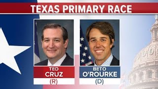 What the Texas primaries mean for US midterms [upl. by Ennovehs]