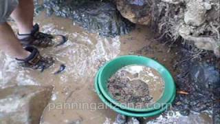 Saturday surpriseGold panning in arizona [upl. by Nafri]