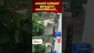 ശക്തമായ കാറ്റും മഴയും വെറ്റിലപ്പാറയിൽ തെങ്ങ് ഒടിഞ്ഞ് ഇലക്ട്രിക്ക് ലൈനിന് മുകളിലേക്ക് [upl. by Vivien]