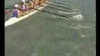 Funniest Crew Crash EVER  St Ignatius Stop Rowing [upl. by Odnaloy]