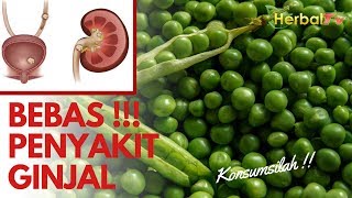 TERBAIK Ini Sayur yang Membuat GINJAL SEHAT  Best Foods For A Healthy Kidney [upl. by Naes671]