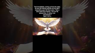 Bible Verse Mark 11011 You are My beloved Son in whom I am well pleased holyspirit jesuschrist [upl. by Aivonas127]