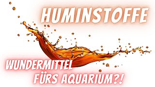 Geheimwaffe Huminstoffe 😮  Wirkung und Nutzung positiver Eigenschaften im Aquarium☝️ [upl. by Eikceb]