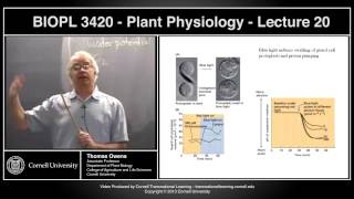 BIOPL3420  Plant Physiology  Lecture 20 [upl. by Etnovad348]