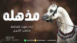 شيلة مذهله اداء صوت الفخامه متعب الخيل جديد ，2023حصرياً [upl. by Wadell]