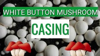 Button Mushroom  Casing [upl. by Derick]