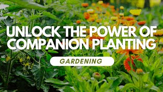 Unlock the Power of Companion Planting [upl. by Intosh]