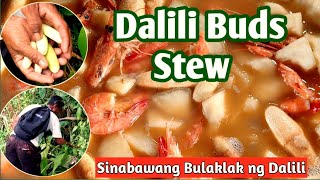 Dalili Buds Stew  Sinabawang Bulaklak Ng Dalili  Province Life [upl. by Gem]