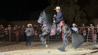 🏆CABALLOS BAILADORES EN LA CIENEGA DE CASAL 2023 [upl. by Eihtak]