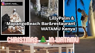 Unforgettable Christmas Vacation in Watamu Exploring Lilypalm Resort [upl. by Hanimay33]