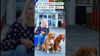 Hammerfest die nördlichste Stadt der Welt hammerfest norway norwegen reiseliebe dogs reisen [upl. by Salas]