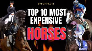 TOP 10 MOST EXPENSIVE HORSES BREED EVER SOLD  DPFunFacts [upl. by Anwahsad]